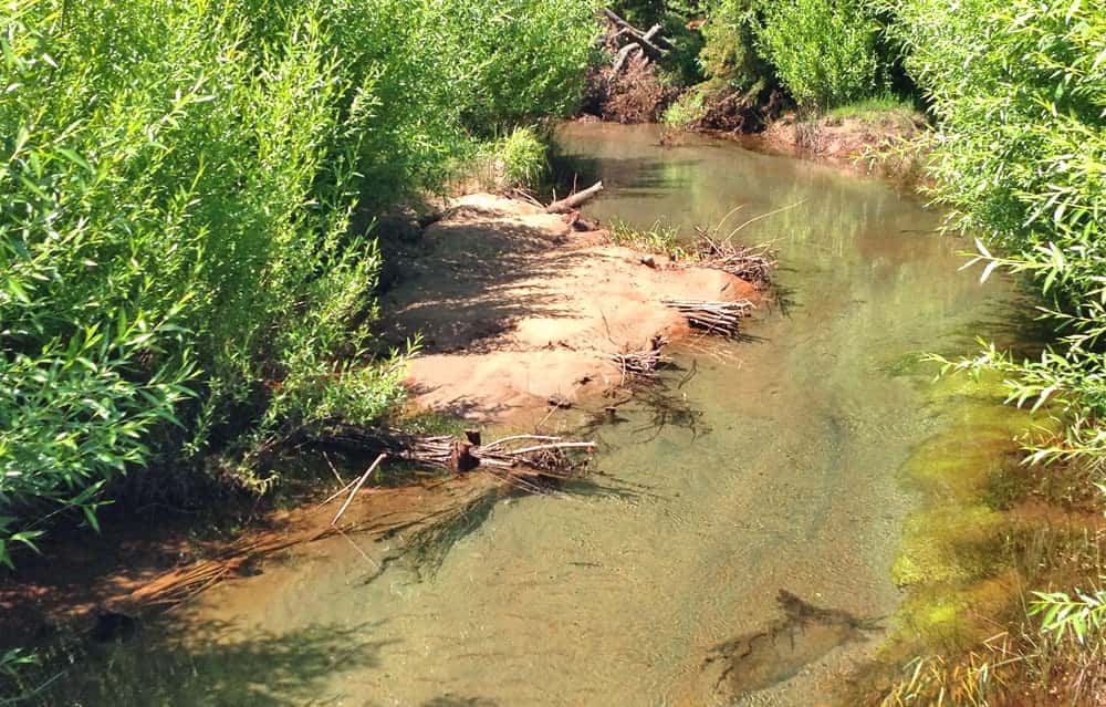 Arroyo de agua clara entre sauces, con un banco de arena en la curva